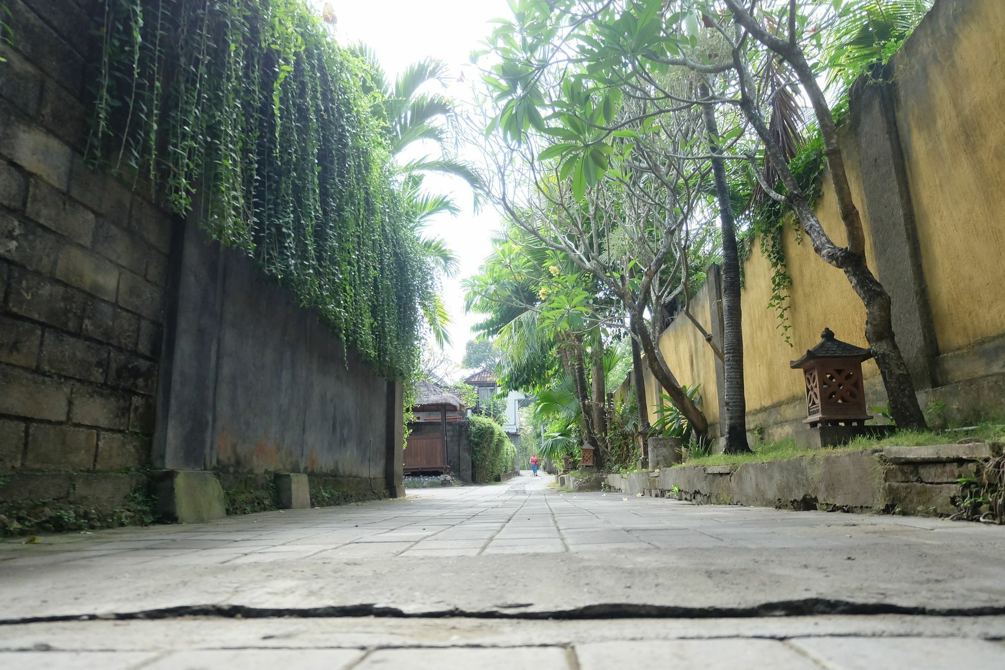 Semarandana Bedrooms And Pool Guest house 2*